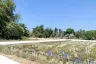 Land for sale in Sa-nga Ban, Chiang Mai
