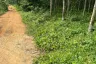 Land for sale in Thep Krasatti, Phuket
