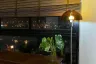 1 Bedroom Condo for rent in Niche Mono Charoen Nakorn, Dao Khanong, Bangkok