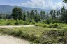 Land for sale in Maret, Surat Thani
