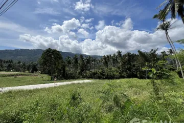 Land for sale in Maret, Surat Thani