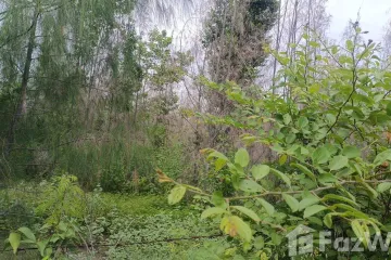 Land for sale in Thap Tai, Prachuap Khiri Khan