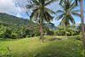 Land for sale in Mae Nam, Surat Thani