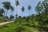 Land for sale in Ko Lanta Yai, Krabi