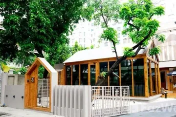 6 Bedroom Commercial for rent in Lumpini, Bangkok near BTS Ratchadamri