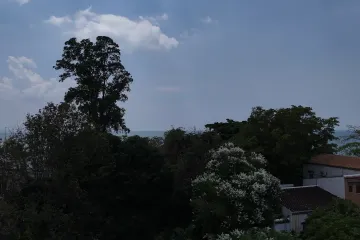 1 Bedroom Condo for sale in Nong Prue, Chonburi
