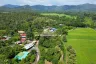 Land for sale in Nong Yaeng, Chiang Mai