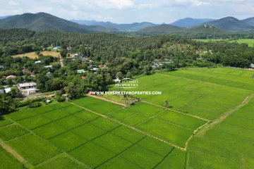 Land for sale in Nong Yaeng, Chiang Mai