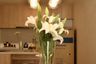 2 Bedroom Condo for rent in The Nest Ploenchit, Lumpini, Bangkok near BTS Ploen Chit