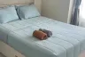 1 Bedroom Condo for sale in Centric Sea, Nong Prue, Chonburi