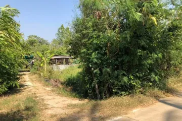 Land for sale in Huai Yai, Chonburi