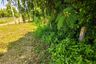 Land for sale in San Phranet, Chiang Mai