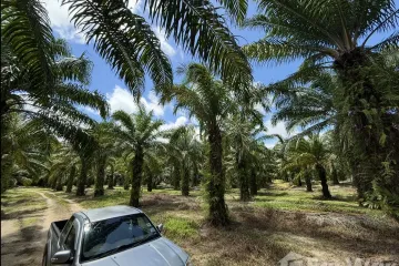 Land for sale in Na Toei, Phang Nga