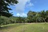 Land for sale in Mae Nam, Surat Thani
