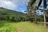 Land for sale in Mae Nam, Surat Thani