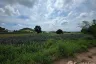 Land for sale in Pran Buri, Prachuap Khiri Khan