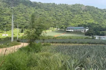 Land for sale in Pran Buri, Prachuap Khiri Khan