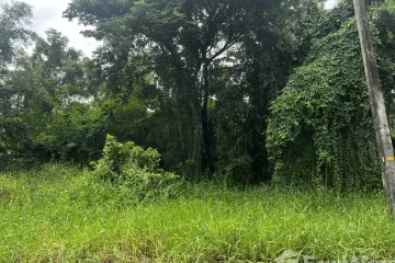 Land for sale in Baan Krisadanakon 25, Sai Kong Din Tai, Bangkok