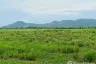 Land for sale in Cha am, Phetchaburi