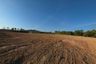 Land for sale in Pa Khlok, Phuket