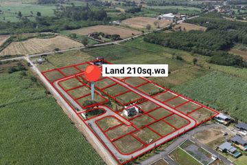 4 Bedroom Land for sale in Khlong Muang, Nakhon Ratchasima