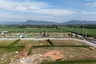 4 Bedroom Land for sale in Khlong Muang, Nakhon Ratchasima