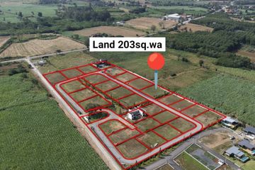 4 Bedroom Land for sale in Khlong Muang, Nakhon Ratchasima