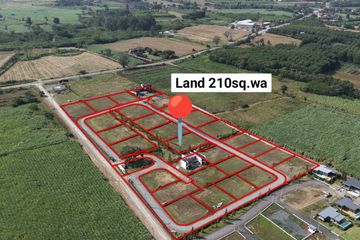 4 Bedroom Land for sale in Khlong Muang, Nakhon Ratchasima