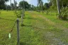 Land for sale in Na Toei, Phang Nga