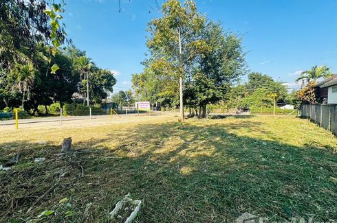 Land for sale in Rim Nuea, Chiang Mai