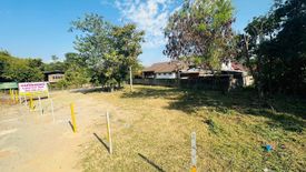 Land for sale in Rim Nuea, Chiang Mai