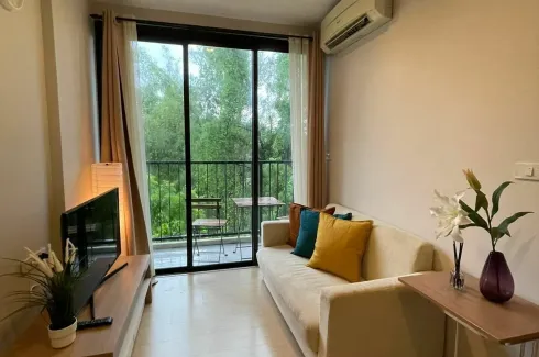 1 Bedroom Condo for rent in Zcape X2, Choeng Thale, Phuket