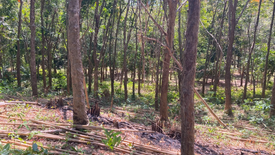 Land for sale in Pa Khlok, Phuket