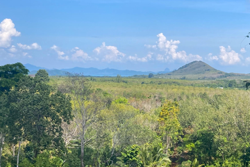 Land for sale in Pa Khlok, Phuket