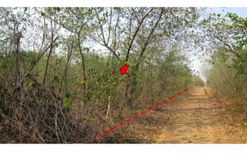 Land for sale in Kan Chu, Phetchabun