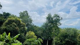 Land for sale in Chalong, Phuket