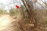 Land for sale in Kan Chu, Phetchabun