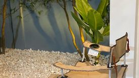 3 Bedroom House for sale in The Plant Kathu-Patong, Kathu, Phuket