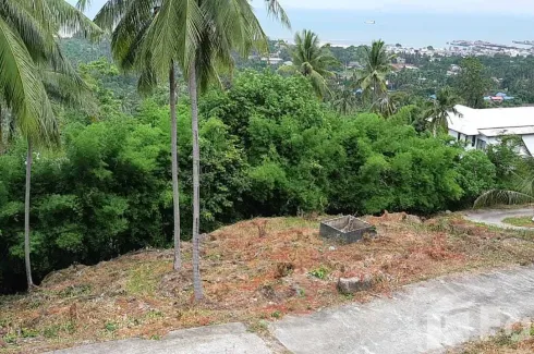 Land for sale in Mae Nam, Surat Thani