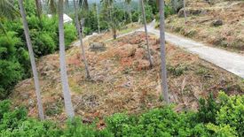 Land for sale in Ang Thong, Surat Thani