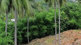 Land for sale in Ang Thong, Surat Thani