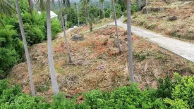 Land for sale in Mae Nam, Surat Thani