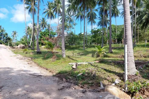 Land for sale in Khanom, Nakhon Si Thammarat