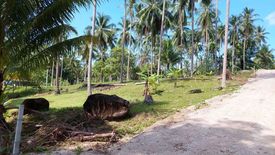 Land for sale in Khanom, Nakhon Si Thammarat