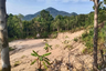 Land for sale in Ko Pha-ngan, Surat Thani