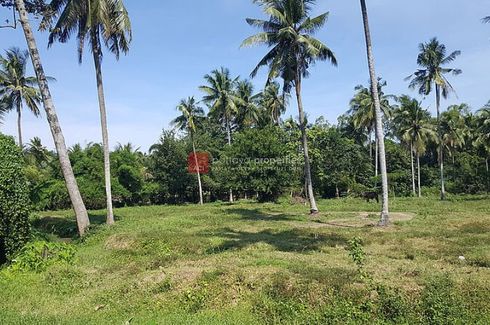 Land for sale in Huai Yai, Chonburi