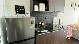 1 Bedroom Condo for rent in Ideo Q Phayathai, Thung Phaya Thai, Bangkok near BTS Phaya Thai
