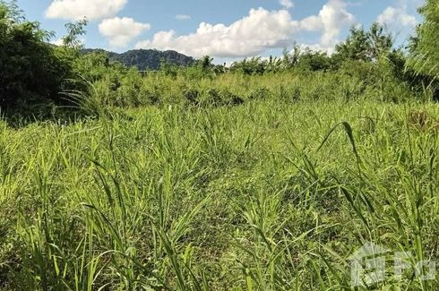 Land for sale in Rawai, Phuket