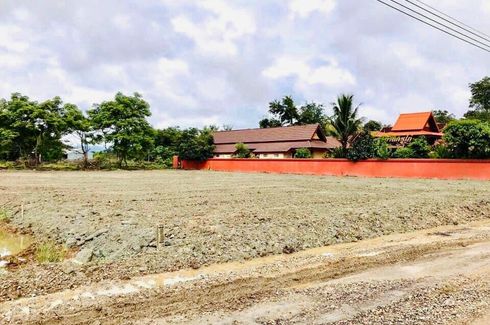 Land for sale in Nong Han, Chiang Mai