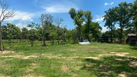 Land for sale in Samran Rat, Chiang Mai